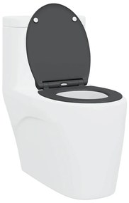 assa lança Rápida de vaso sanitário com fechamento suave Duroplast Ant