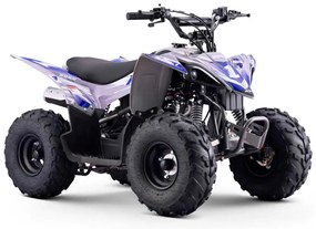 MINI MOTO 4 GASOLINA PARA CRIANÇAS velocidade até 45Km/h C/Limitador DAKAR 110cc Automática