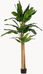 Planta artificial para exterior Banana, Alt 320 cm