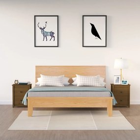 vidaXL Mesas de cabeceira 2pcs 50x35x61,5 cm pinho maciço castanho mel