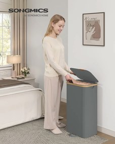 Cesto da roupa suja 42 x 32 x 75 cm com tampa e saco removível, 100 L, cinzento ardósia