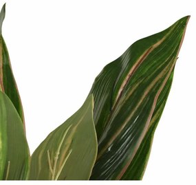 Planta Decorativa DKD Home Decor Dracaena Verde PE (50 x 50 x 120 cm)