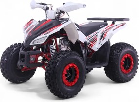 Mini Moto 4 gasolina para crianças automática 125cc Roan Coyote R8 Ecrã digital e com e marcha-atrás Vermelha