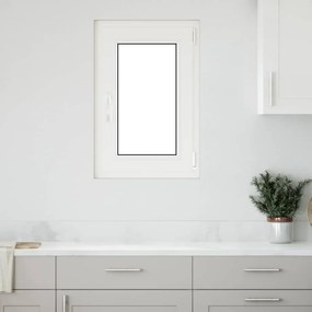 vidaXL Janela de porão "RISOR" 50x75 cm oscilobatente DIN direita antracite