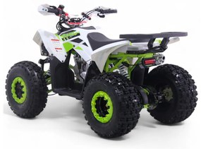 Mini Moto 4 gasolina para crianças automática 125cc Roan Coyote R8 Ecrã digital e com e marcha-atrás Verde