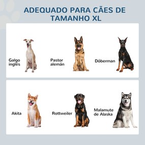 Comedouro Elevado para Cães com 2 Tigelas de Aço Inoxidável e Espaço de Armazenamento Oculto 60x30x41 cm Branco