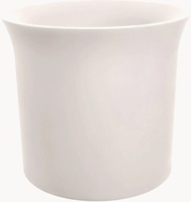 Vaso June Tulip