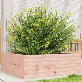 vidaXL Vaso/floreira de jardim 70x70x23 cm madeira de douglas maciça