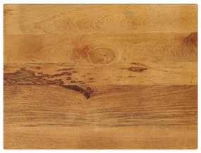 vidaXL Tampo de mesa retangular 90x60x2,5 cm mangueira maciça