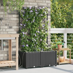 Plantadores de Jardim vidaXL com Sistema de Irrigação 2 pcs Preto