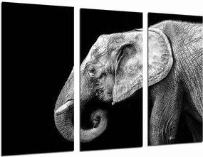 Conjunto de 3 quadros PST26855 Elefante (97 x 62 cm) (Refurbished A+)