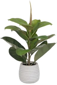 Planta Decorativa Verde Pvc Eik 58 cm