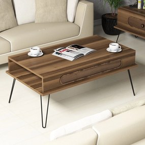 Mesa de Centro Ekol – Nogueira – 105x45,8x56 cm