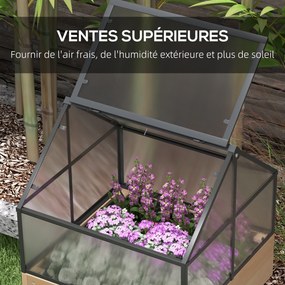 Mini-estufa com pés, dimensões: 60L x 57l x 103H cm, com teto duplo que se abre; painéis de policarbonato, aço e madeira de abeto tratada