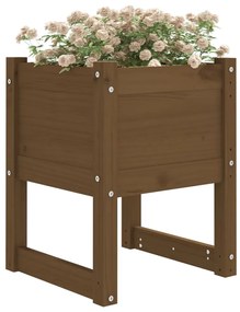 Vasos/floreiras 2 pcs 40x40x52,5 cm pinho maciço castanho-mel