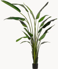 Planta artificial para exterior Strelitzia, Alt 310 cm