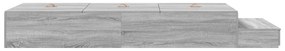 Estrado de Cama Armazenamento Cinza Sonoma 100x200 cm
