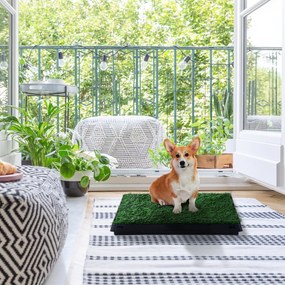 PawHut Sanita para Cães com Relva Artificial e Bandeja Sanita Interior