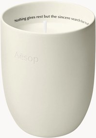 Vela perfumada Callippus (madeira, terra, verde)