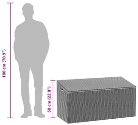 Caixa de arrumação para jardim 110x50x58 cm vime PE Bege