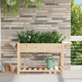 Planta com Prateleiras vidaXL 155x59x76 cm Madeira de Pinho