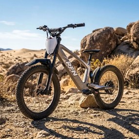 Bicicleta elétrica infantil sem pedais 750W 20" 36V 7.5Ah RXF EVO-RACING Cinzenta