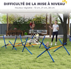 Conjunto de equipamento de agilidade para cães, conjunto de agilidade portátil para cães com altura ajustável, saco de transporte, laranja