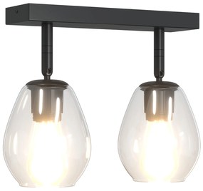 Luzes de teto com cúpula de vidro ajustável Antracite E27