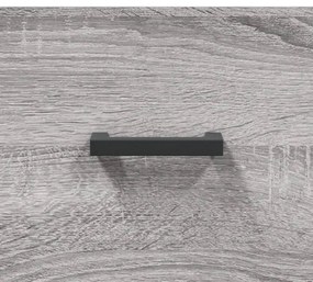 Sapateira 60x35x105 cm derivados de madeira cinzento sonoma