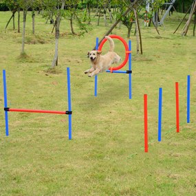 Equipamento completo de agility para cães: obstáculos e treino – conjunto de 11 peças para percurso de agility, com bolsa de transporte em aço vermelh