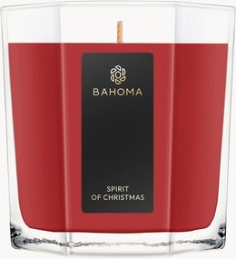 Vela perfumada octogonal Spirit of Christmas (cassis, mirtilo, tangerina)