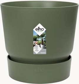 Vaso Greenville