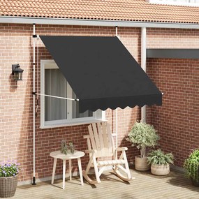 vidaXL Toldo retrátil manual 200 cm antracite