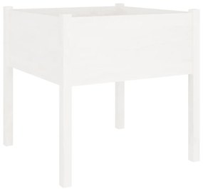 Vaso/floreira de jardim 2 pcs 70x70x70 cm pinho maciço branco