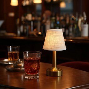 Conjunto de 2 Candeeiros de Mesa Dourados com Bege RGBW Recarregáveis - Elise