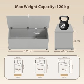 Caixa de arrumação 100 x 40 x 40 cm, banco com arrumação, com tampa rebatível e dobradiças de segurança, cinzento