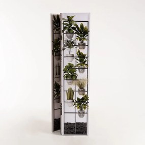 Biombo Plant