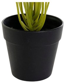 Planta Decorativa DKD Home Decor Preto Verde PVC PP Lírio (25 x 25 x 30 cm)