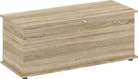 HOMCOM Banco de Arrumação com Dobradiça de Segurança Estilo Moderno para Corredor Quarto Sala 100x40x40 cm Carvalho | Aosom Portugal