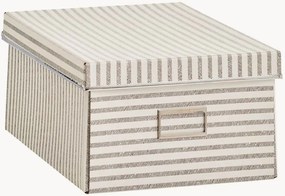 Caixas Stripes, conjunto de 2