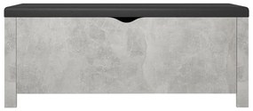 Caixa arrumação c/ almofadão contrap. 105x40x45cm cinza cimento