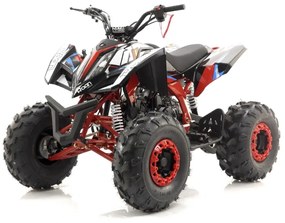 MINI MOTO 4 GASOLINA PARA CRIANÇAS velocidade até 45Km/h Roan 125cc semiautomático Falcon RN-1-2-3 R8 AZUL