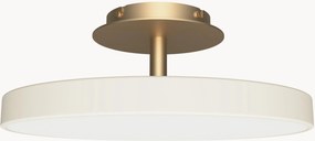 Candeeiro de teto LED regulável Asteria, vários tamanhos