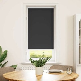 vidaXL Estore de rolo 60 x 120 cm, Preto