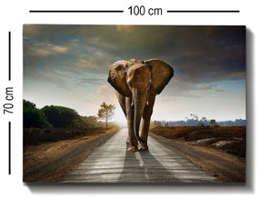 Pintura Decorativa em Tela 60414424 – Multicolor – 70 x 100 cm