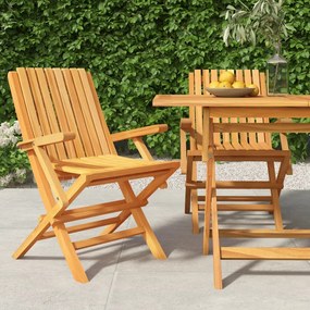 vidaXL Cadeiras de jardim dobráveis 2 pcs 61x67x90 cm teca maciça