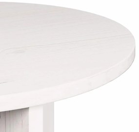 Conjunto de Mesas de Café 2 pcs Branco 49 x 49 x 28 cm