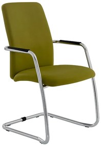 Cadeiras de Escritório Visitante com Braços Magix 01P