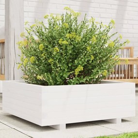 Vaso/floreira de jardim 70x70x26,5 cm pinho maciço branco