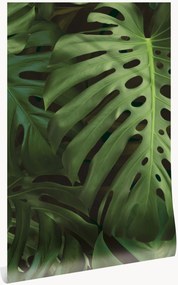 Papel de parede não tecido Monstera